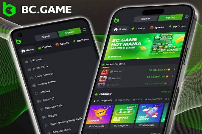 Explore the Exciting BC.Game Mobile App Your Gateway to Crypto Gaming